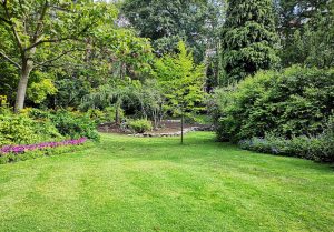 Optimiser l'expérience du jardin à Bressieux